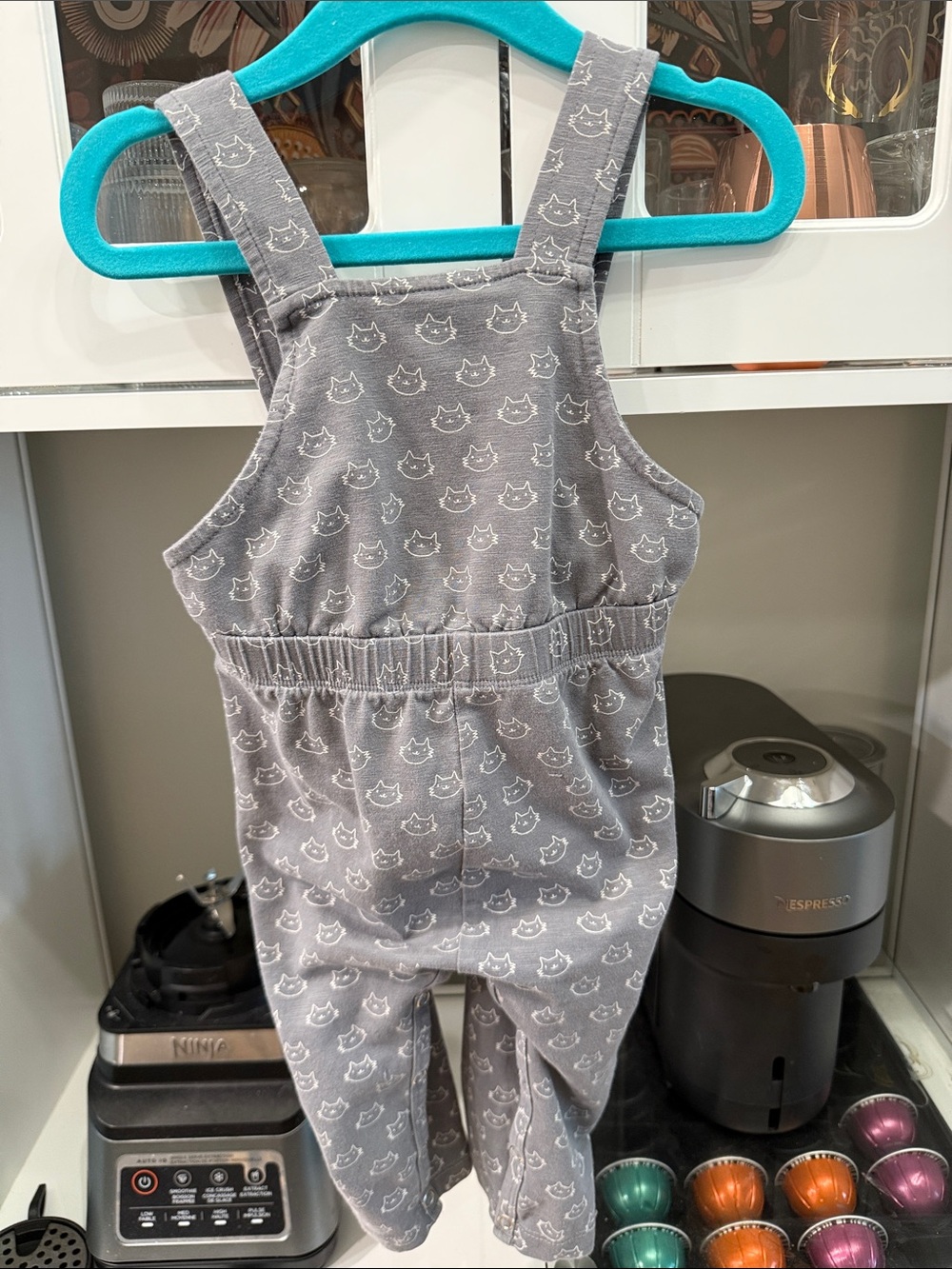 Kate Quinn Overalls